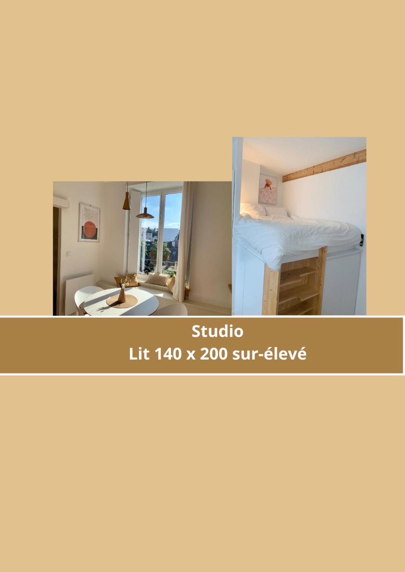 La Belle Odet' - Choix D'Appartements- Centre Ville-Quais 캥페르 외부 사진